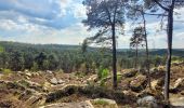 Randonnée A pied Fontainebleau - Fontainebleau - Moret - Montigny - Photo 2