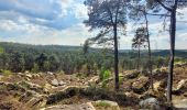 Tour Zu Fuß Fontainebleau - Fontainebleau - Moret - Montigny - Photo 2