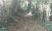 Trail Walking Valorbiquet - Aux alentours de St Cyr  - Photo 4