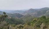 Trail Walking Saint-Raphaël - Pic roux grotte de sainte Baume - Photo 9