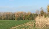 Tocht Stappen Geldenaken - 221114b - Jodoigne, Gobertange, St Remy-Geest, GRP127 (court) - Photo 2