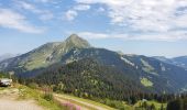 Randonnée Marche Châtel - Boucle Pré  la Joux - Col de Bachassaux - Photo 7