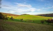 Percorso A piedi Neunkirchen - Neckarkatzenbach-Weg - Photo 10