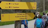 Randonnée Marche Val-de-Chalvagne - Les Cougnas Col du Buis Ubraye - Photo 16