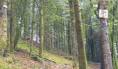 Tour Wandern Saint-Étienne-lès-Remiremont - Le sentier des Pourdingues - Photo 11