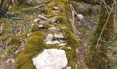 Tour Wandern Myon - myon les lunettes à Stéphane  - Photo 18