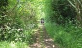 Trail Walking Saint-Pierre-en-Auge - Le Billot  - Photo 10