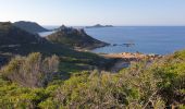 Trail Walking Ajaccio - Les iles Sanguinaires. Corse - Photo 6