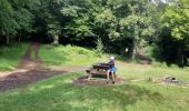 Tour Wandern Rimbach bei Gebweiler - 2020 07 02 Rimbach - Photo 2