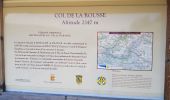 Tour Wandern Crots - col de la rousse et pic de charance - Photo 8