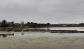 Trail Walking Peyriac-de-Mer - Peyriac de Mer - Photo 1