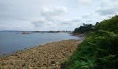 Trail Walking Douarnenez - Douarnenez - GR34 du port de plaisance aux Roches Blanches - 9.7km 165m 2h30 - 2019 09 06 - Photo 3