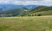 Tocht Noords wandelen Rosans - Crêtes du raton à partir du col de Pommerol - Photo 2