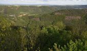 Tour Zu Fuß Nideggen - Heinrich-Böll-Weg - Photo 10