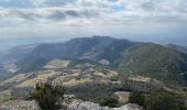 Trail Walking Sablet - Les crêtes de saint Amant  - Photo 7