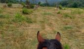 Trail Horseback riding Saint-Victor - petit tour le soleil - Photo 20