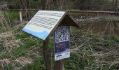 Trail On foot Wurzbach - Gelber Balken - Photo 1