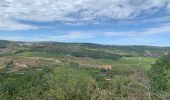 Trail Walking Auxey-Duresses - Camp des Celtes et sentier des Cabottes - Photo 1