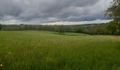 Tour Wandern Sprimont - autour du domaine des bruyères  - Photo 6