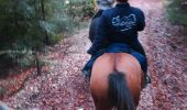 Trail Horseback riding Niderhoff - Parcours cavaliers Equiplaine Niderhoff - Photo 4