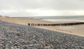 Trail Walking Veere - Se promener dans Westkapelle et dans les dunes  - Photo 12