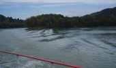 Tour Zu Fuß Sankt Nikola an der Donau - Burg Werfenstein Wanderweg - Photo 3