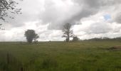 Tocht Stappen Esneux - à travers les bois d Anthines et d Esneux - Photo 11