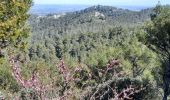 Trail Walking Tarascon - CR_Domitia_BA_23_Tarascon_St-Remy-Provence_20220404 - Photo 6