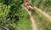 Trail Horseback riding Roybon - Roybon  - Photo 8