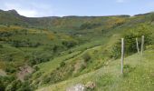 Randonnée Marche Borée - Tour du Mont Mézenc 14,5km - Photo 2