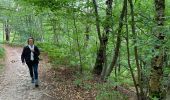 Trail Walking Montfort-l'Amaury - Montfort - Photo 3