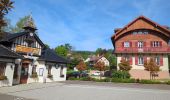 Excursión Senderismo Le Hohwald - Hohwald - Rothlach - Neuntelstein - Photo 18