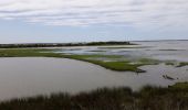 Tocht Stappen Audenge - Grande boucle du domaine de Certes-Graveyron - Photo 3