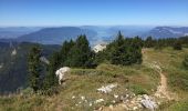 Tocht Stappen Entremont-le-Vieux - Le Granier - Photo 17