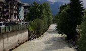 Tocht Stappen Chamonix-Mont-Blanc - Chamonix La Cascade du dard  - Photo 13