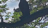 Trail Walking Jalhay - mon 8 de la statte  - Photo 7