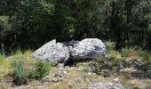 Excursión Senderismo Barjac - 2020 06 17 dolmen de Barjac  - Photo 3