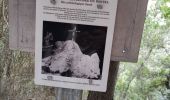 Randonnée Marche Ollioules - Les Grottes de Destel - Photo 20