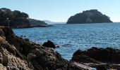 Tour Wandern La Londe-les-Maures - Plage de l'Argentière à Cabasson en A/R-14-01-22 - Photo 14