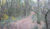 Tocht Te voet Malvern Hills - Abberley Circular Walk - Photo 7