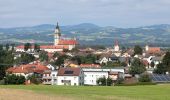 Percorso A piedi Wallsee-Sindelburg - Donaualtarmweg - Photo 2