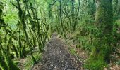 Excursión Senderismo Septmoncel les Molunes - Septmoncel - Le sentier des chamois  - Photo 6