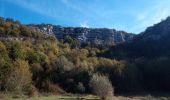 Randonnée Marche Moirans-en-Montagne - Le Regardoir - Photo 5