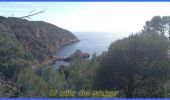 Randonnée Marche Bandol - La calanque  de Port d’Alon - Photo 1