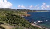 Trail Walking Le Marin - L'oeil bleu aller-retour  - Photo 13