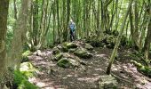 Trail Walking Liège - 🚂 à 🚂 Angleur/Esneux par le GR57 - Photo 15