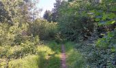 Trail Walking Aywaille - Dieupart . Henoumont . Fonzai . Kin . Dieupart - Photo 20