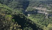 Excursión Senderismo Les Vans - Naves vallée ganiere - Photo 4