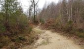 Trail Walking Bussière-Galant - Le sentiers des Demoiselles - Photo 16