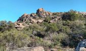 Tour Wandern Roquebrune-sur-Argens - Rocher de Roquebrune sur Argens-23-02-22 - Photo 9